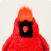 Load image into Gallery viewer, Red Cardinal Warmies