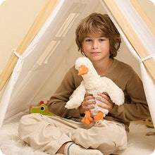 Load image into Gallery viewer, Goose Warmies Top Selling Warmies 13 Inch Heatable Plush