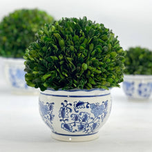 Load image into Gallery viewer, Boxwood Ball Topiary in Round Bulb Blue & White Ceramic Pot: Small