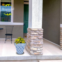 Load image into Gallery viewer, Mediterranean Medium Planter