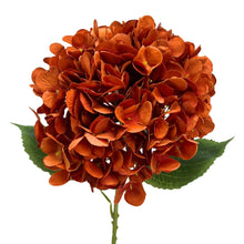 Load image into Gallery viewer, Full Bloom Hydrangea 27" - Burnt Orange