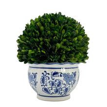 Load image into Gallery viewer, Boxwood Ball Topiary in Round Bulb Blue &amp; White Ceramic Pot: Small
