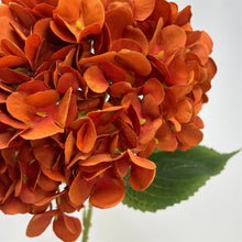 Load image into Gallery viewer, Full Bloom Hydrangea 27" - Burnt Orange
