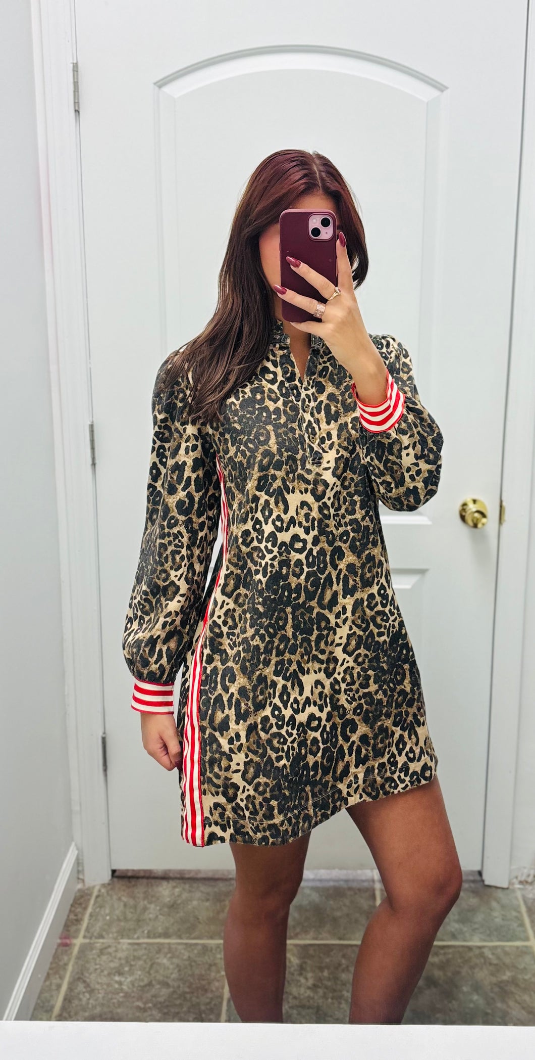 Cheetah Red Stripe Dress
