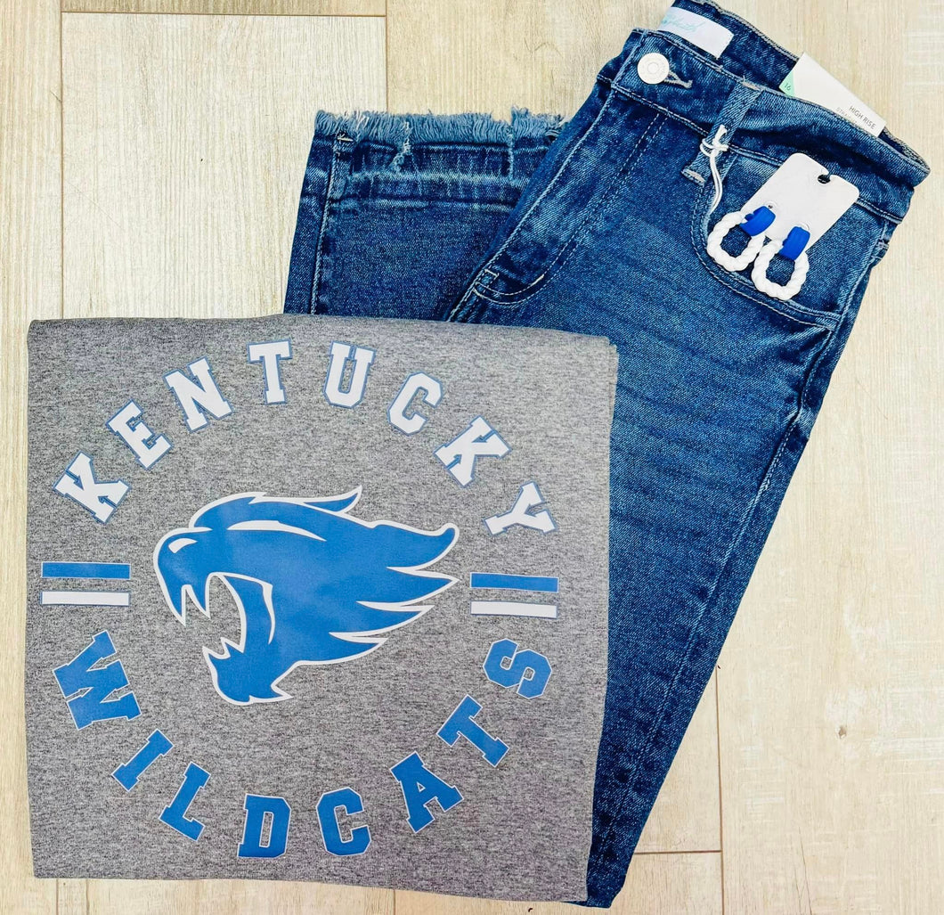 Kentucky Wildcats