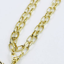 Load image into Gallery viewer, Wings of Grace Double Chain Necklace
