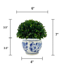 Load image into Gallery viewer, Boxwood Ball Topiary in Round Bulb Blue &amp; White Ceramic Pot: Small
