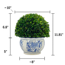 Load image into Gallery viewer, Boxwood Ball Topiary in Round Bulb Blue &amp; White Ceramic Pot: Small
