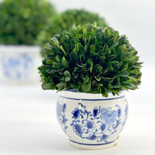 Load image into Gallery viewer, Boxwood Ball Topiary in Round Bulb Blue &amp; White Ceramic Pot: Small
