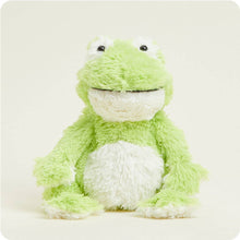 Load image into Gallery viewer, Frog Warmies
