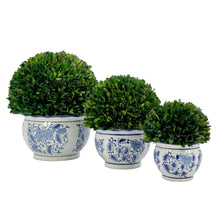 Load image into Gallery viewer, Boxwood Ball Topiary in Round Bulb Blue &amp; White Ceramic Pot: Small
