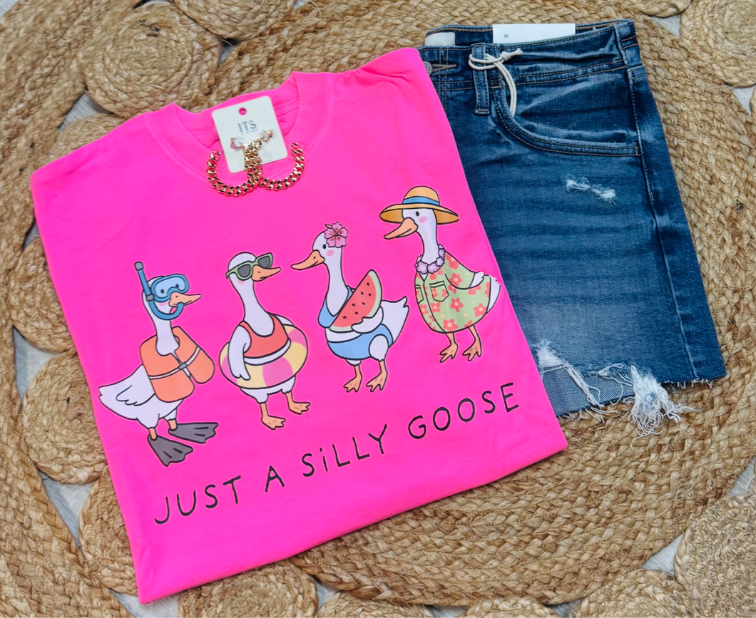 Pink summer “just a silly goose”
