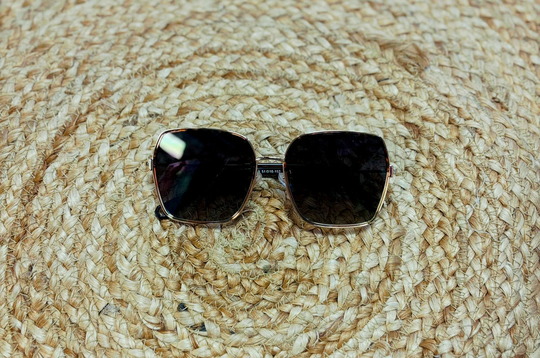 Aspen Brown Sun Glasses