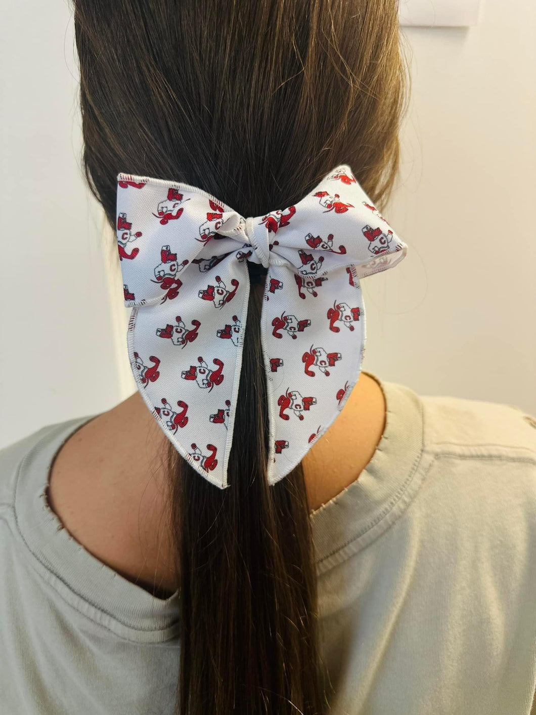 Game day whimsy tail bow