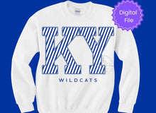 Load image into Gallery viewer, KY Wildcats Stripe Flash Sale
