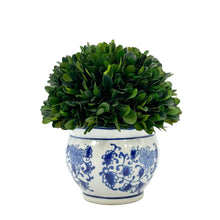 Load image into Gallery viewer, Boxwood Ball Topiary in Round Bulb Blue &amp; White Ceramic Pot: Small
