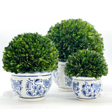 Load image into Gallery viewer, Boxwood Ball Topiary in Round Bulb Blue &amp; White Ceramic Pot: Small
