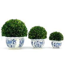 Load image into Gallery viewer, Boxwood Ball Topiary in Round Bulb Blue &amp; White Ceramic Pot: Small
