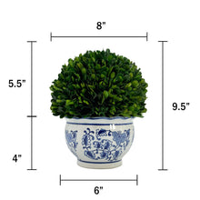 Load image into Gallery viewer, Boxwood Ball Topiary in Round Bulb Blue &amp; White Ceramic Pot: Small
